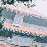 忠诚的反对派