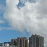 小马和小猴20041