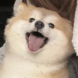 中二直男