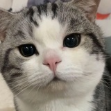 两室一厅
